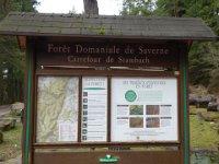 6  Saverne LE WASSERWALD 05 03 2017 03
